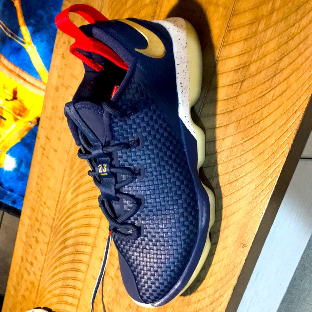 mens lebron